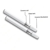 Electronic Cigarettes