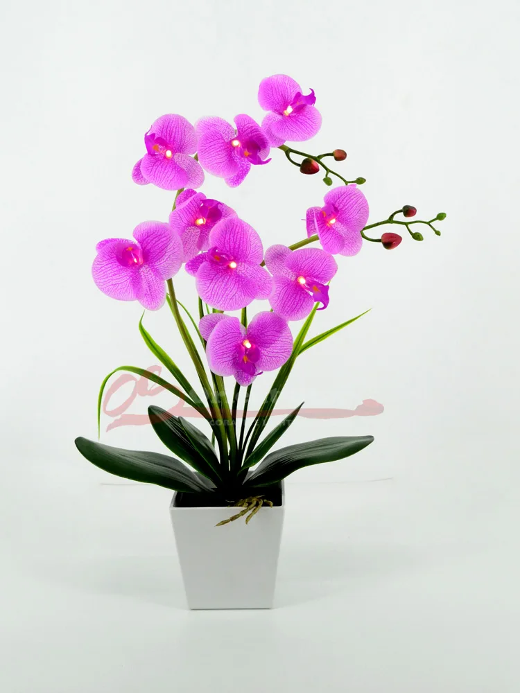 Peach Pink 2"(50 см) светодиодный светильник с цветком орхидеи, настоящий сенсорный, 9 шт., теплый белый светодиодный светильник/светильник ed Flowers с 2* AA батареей - Цвет: Peach Pink
