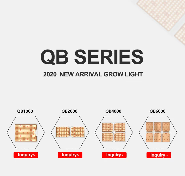 量子板QB2000详情-ENGLISH-NEW_01