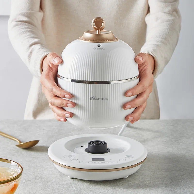 220V 350w Mini Electric stew Slow cooker 0.6L ceramic Bird's Nest Stew cup 1L 304 stainless steel pot Timing Reservation