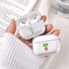 Portable Audio 