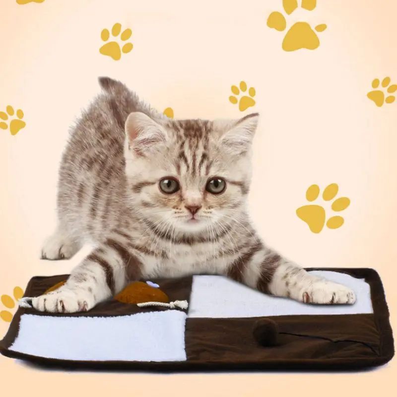 

Furniture Protector Cat Scratch Board Sisal Straw Catnip Mat Chair Table Pad