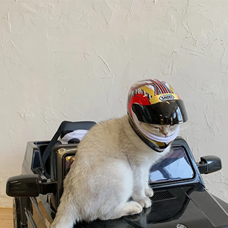Pet cat helmet handsome mini locomotive 
