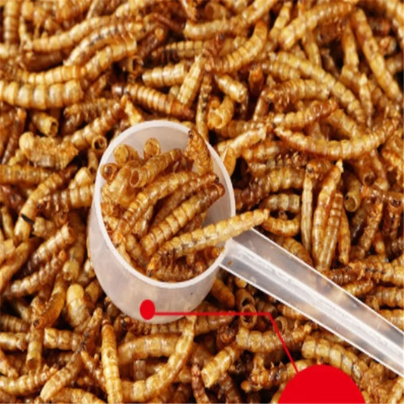 500 мл Mealworm сушеный Аквариум Пруд рыбка рептилия дикий птичий корм хомяк птичий семя ящерица черепаха Arowana Tenebrio куриный корм