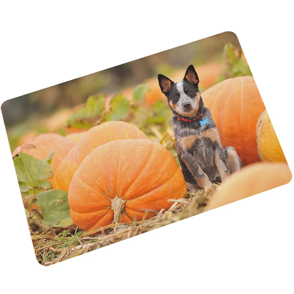 Pumpkin Zeegle коврик для кухни, дверной коврик, коврик для туалета, коврик для собаки, коврик для ванной комнаты, противоскользящий водопоглощающий ковер, коврик для крыльца, коврик для ног - Цвет: Pumpkin