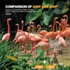 Mini Trail Hunting  Camera Wild Hunter Cam Mini600 20MP 1080P Wildlife  Animal Cameras Night Vision Photo Traps Surveillance 2