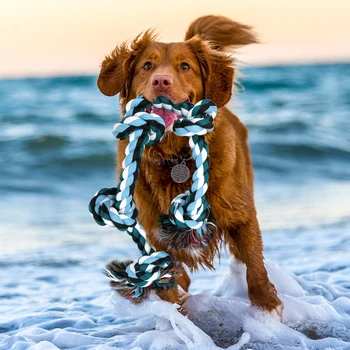 

Cotton Rope Pets Supplies Chewing Toys Dog Tooth Cleaning Training Supplies Interactive Pets Chewing Toys For Medium Large Dogs