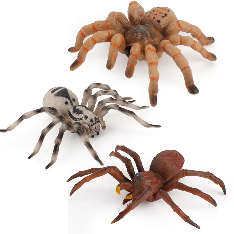 Figurines d'animaux en forme d'insecte, modèle solide, tartula, araignée noire, Halloween, farce, effrayant, drôle, jouets éducatifs