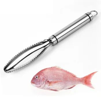 

Scales Hit Scale the to Scale Useful Product Chef