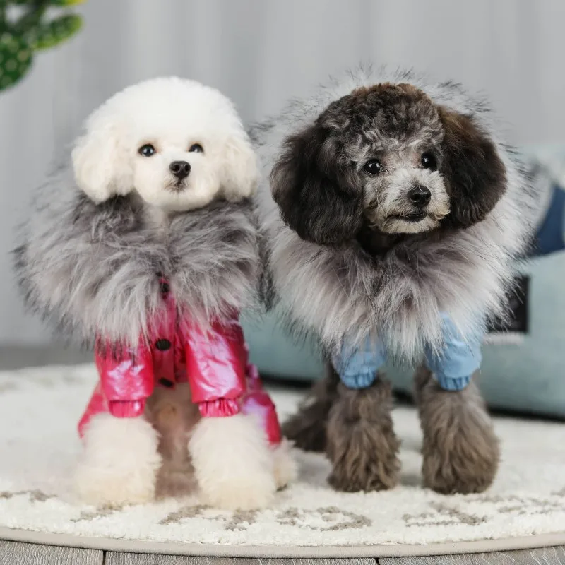 dog coats (16)