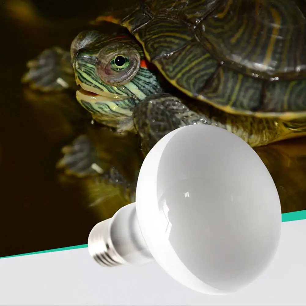 

100W 220V Reptile Light Bulb Heating Lamp Vivarium Terrarium Tortoise Turtle Snake Pet Heating Light Bulb Temperature Controller