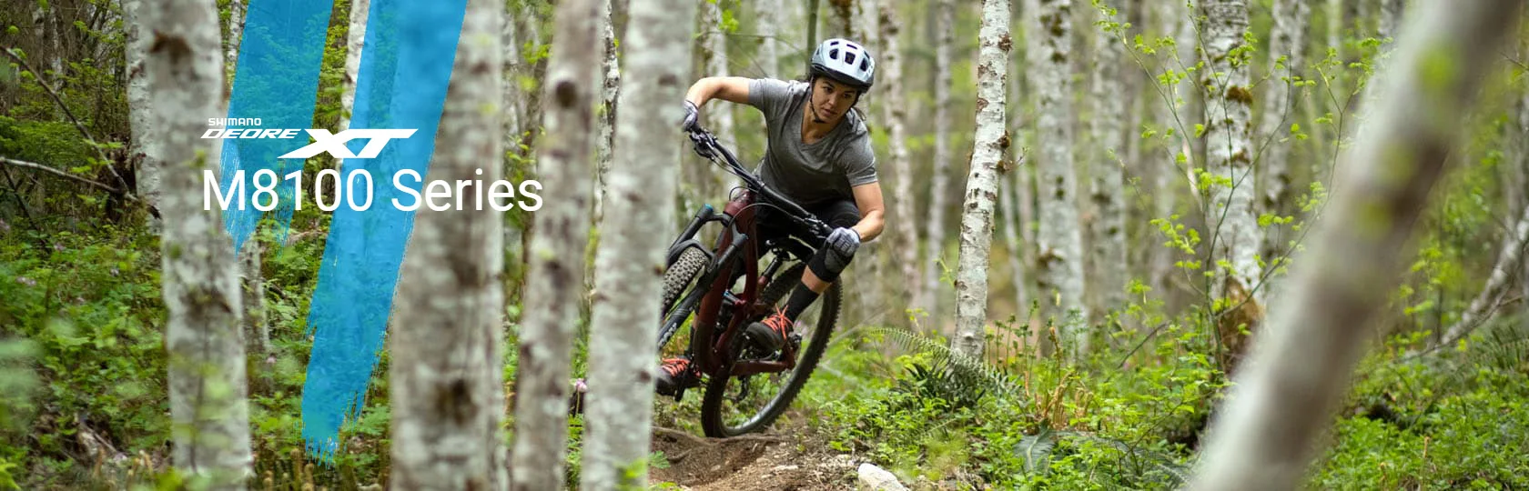 Description Picture 6 of itemSHIMANO XT RD-M8100 RD REAR DERAILLEUR SGS for 1x12s 12 speed MTB mountain bike bicycle PARTS derailleur