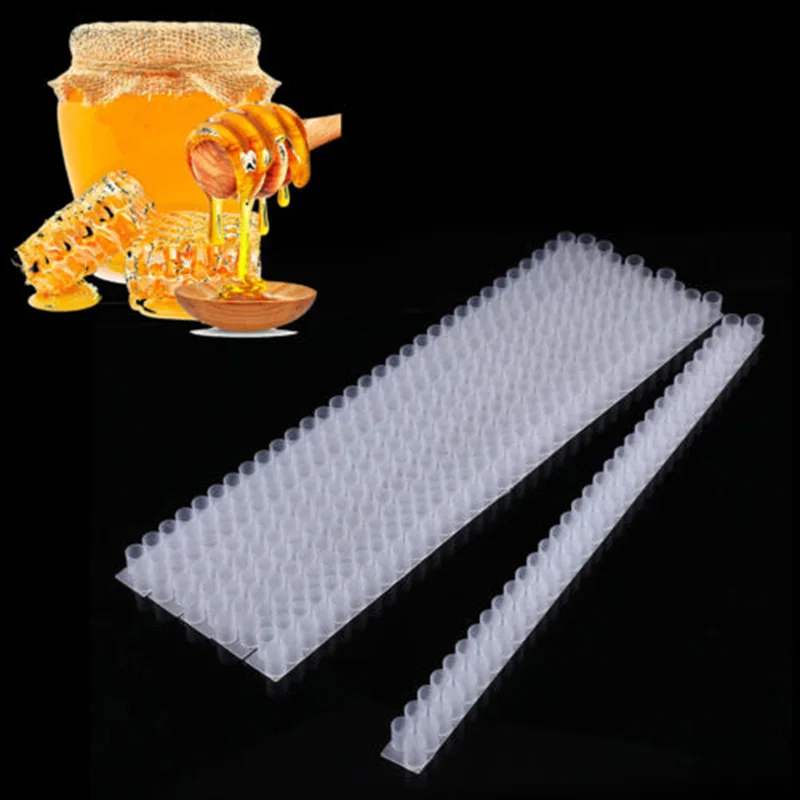 

Plastic Base Bars Queen Cell Cups Clear Supplies Beekeeping Tools 10pcs /set