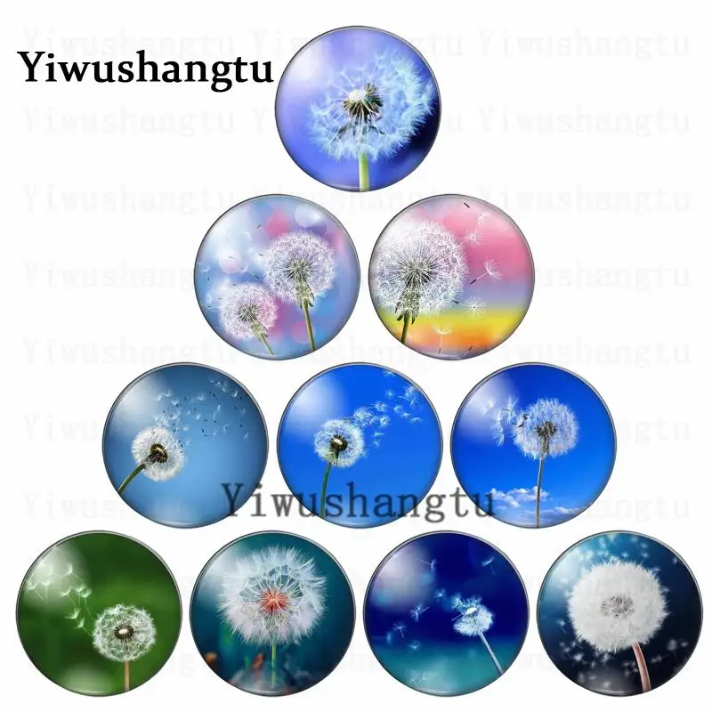 

Beauty big round dandelion flourishing fly color 12mm/20mm/25mm/30mm Round photo glass cabochon demo flat back Making findings