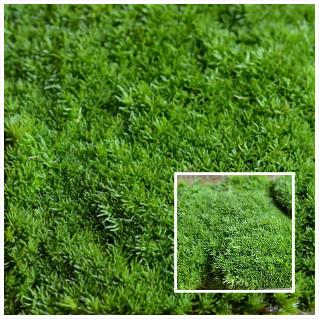 Slide image c4feb6202b704d1597739a679dceed2e