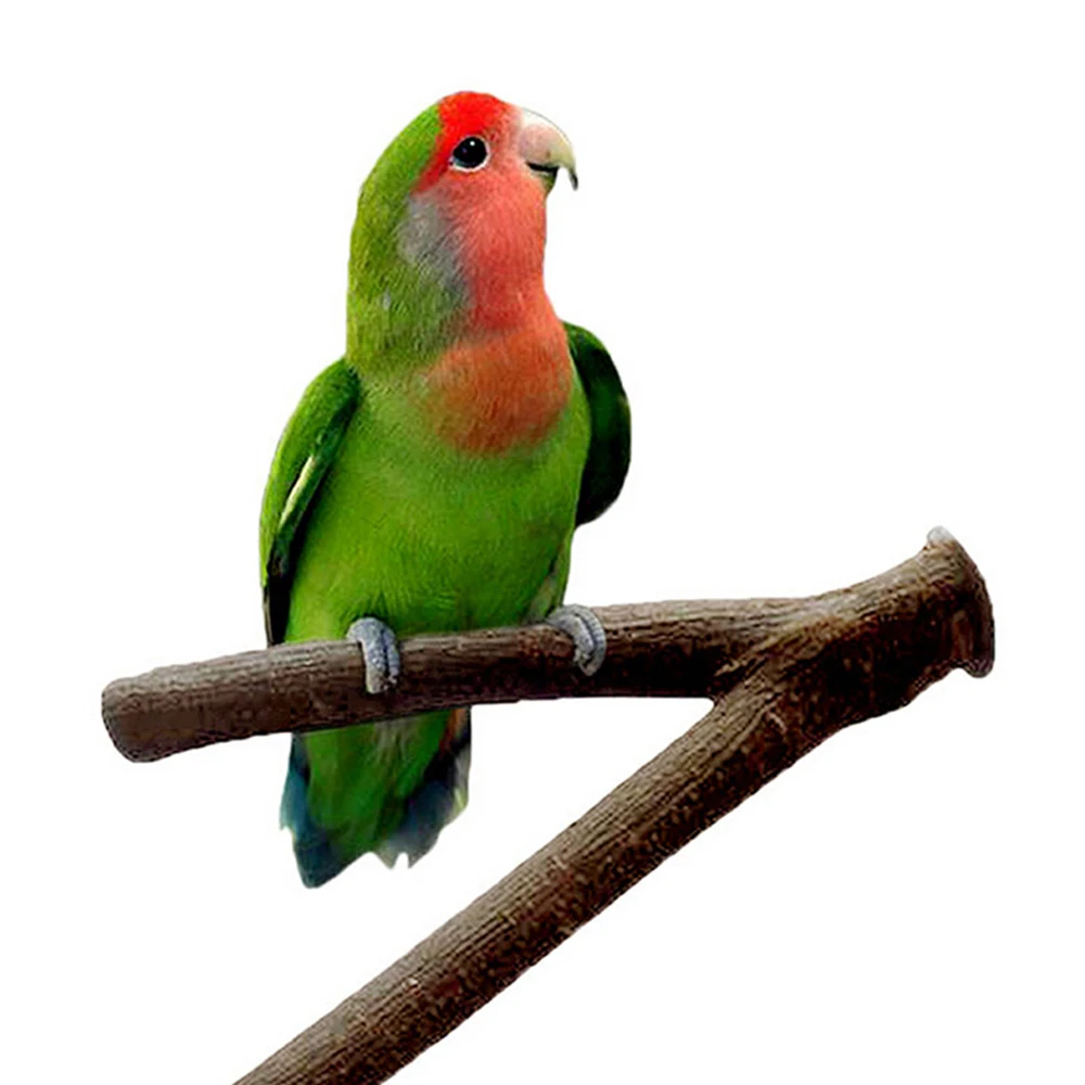 Parrot Bird Standing Stick Wood Pole Bird Cockatiel Parakeet Perches Bite Claw Grinding Toy Cage Accessories Pet Toys parrot toy bird perch stand bird toy bird cage accessories