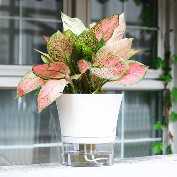 

Nordic style Hydroponic Flowerpot Home Office Desk Flower Pot Green plants Self-watering System Home Office Desk Decoration