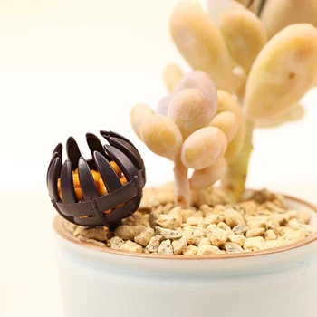 

Fertilizer Covered Plastic Bonsai Tool 100 PCS Jade Fat Box Claw Box Slow Release Fertilizer Container