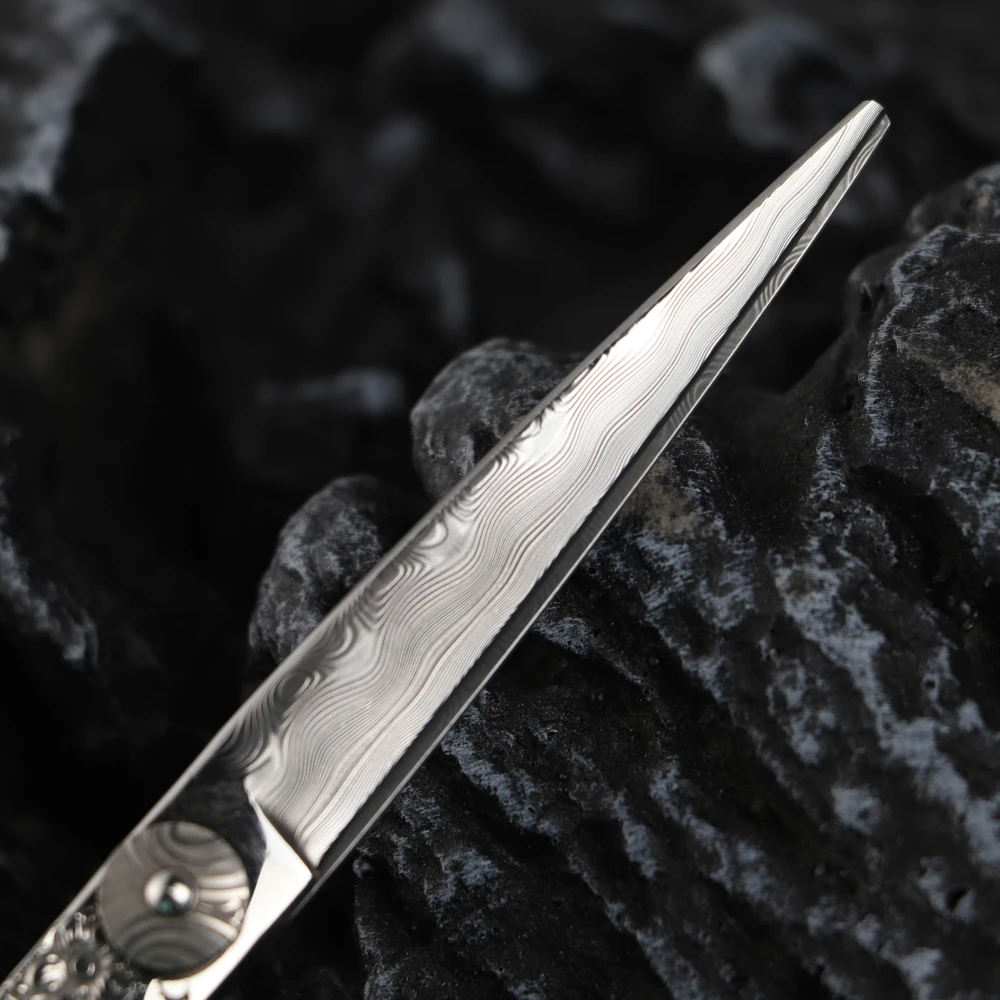 Рисунок 2 - Ножницы для парикмахерской fnmoon 6