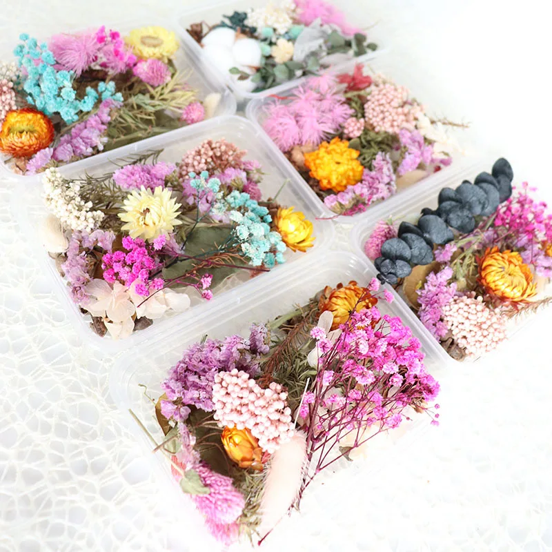 19462516680_1880294424