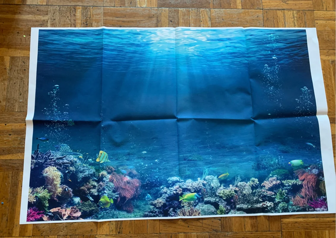 Underwater World Backdrop Seabed Shark Ocean Undersea Fish Coral Aquarium Baby Birthday Photography Background Decor Studio Prop photo backdrop