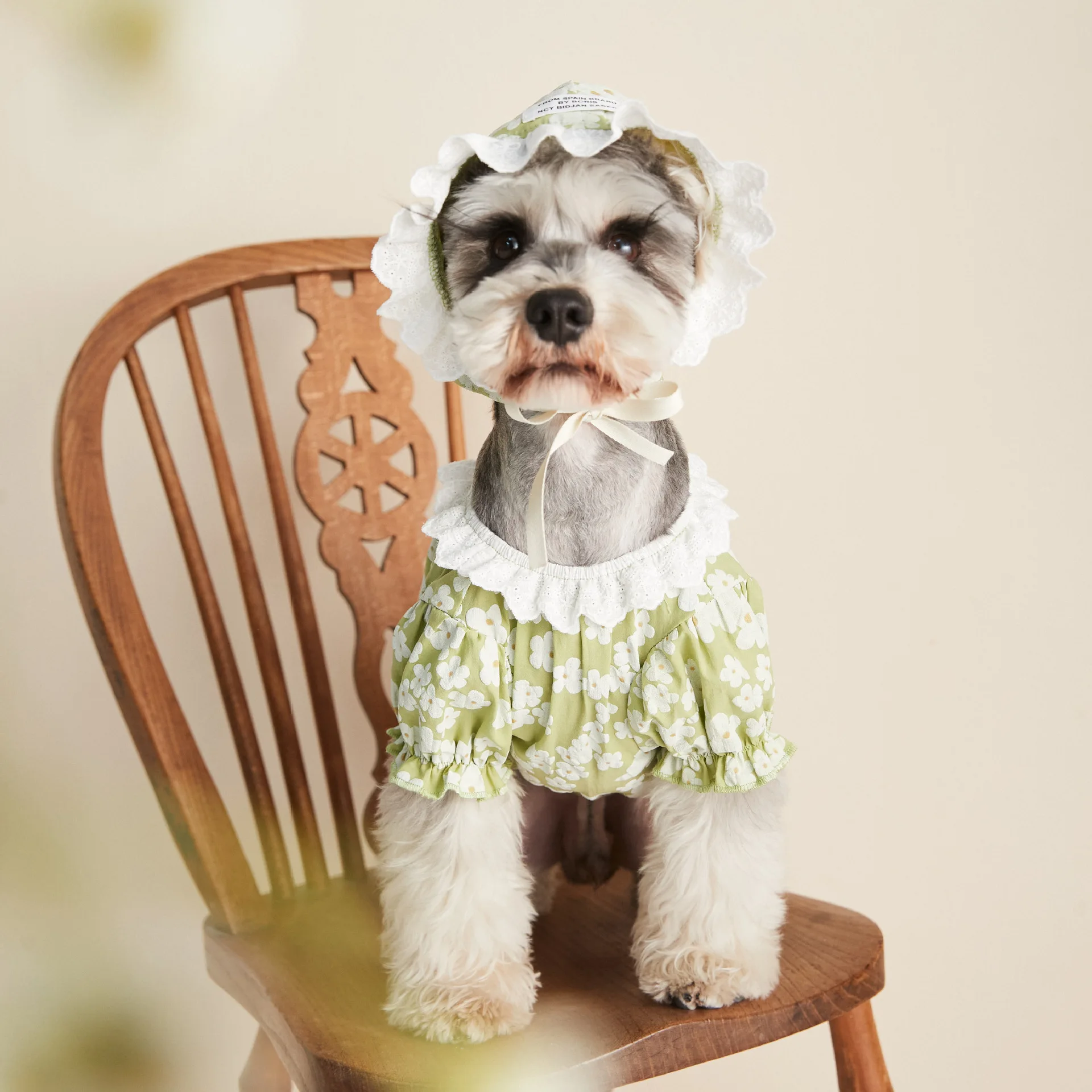 2021 новая модная одежда для собак весна-лето кружевная Цветочная рубашка шнауцер