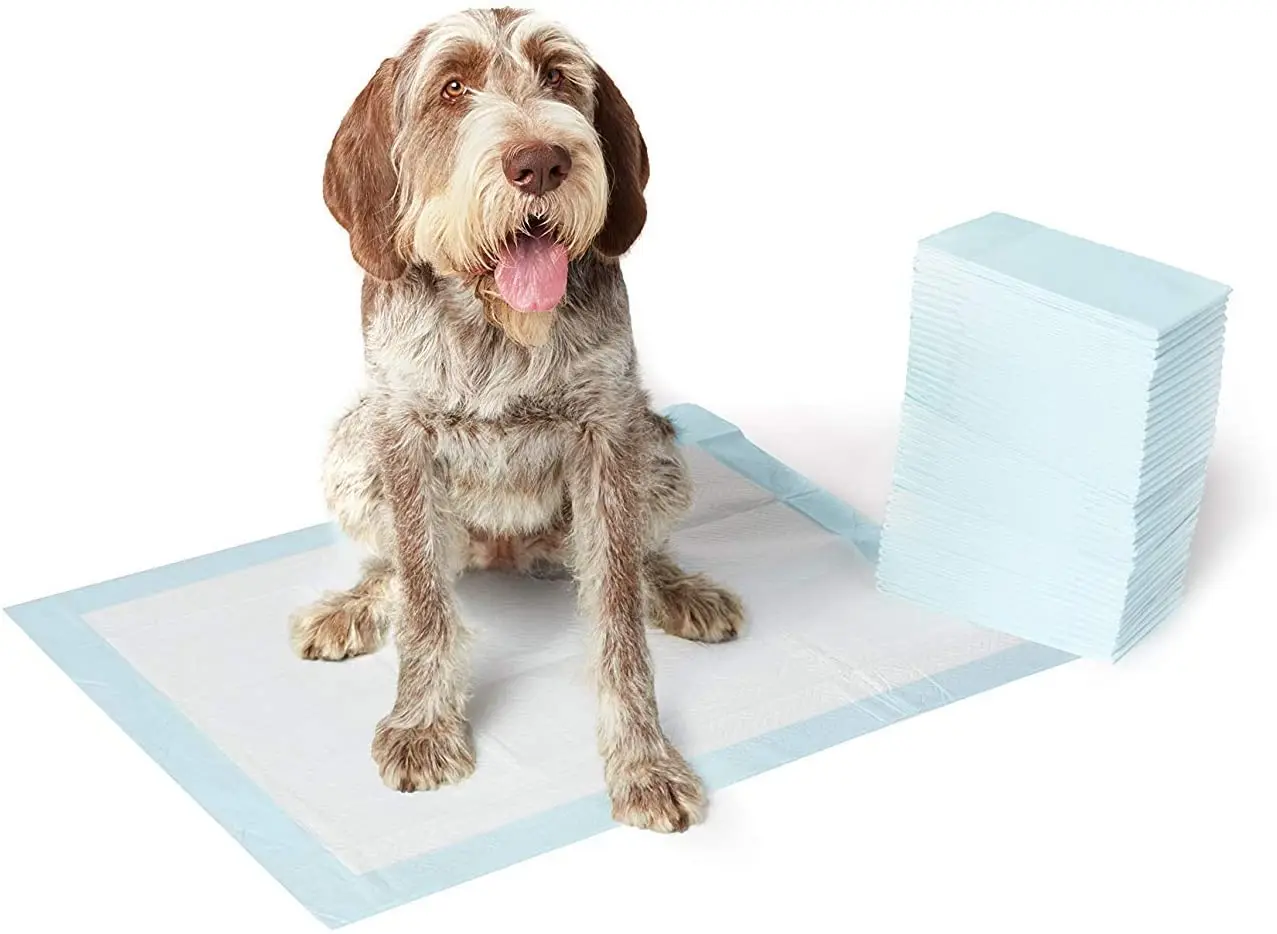 

Dog and Puppy Potty Training Pads, Regular Absorbency