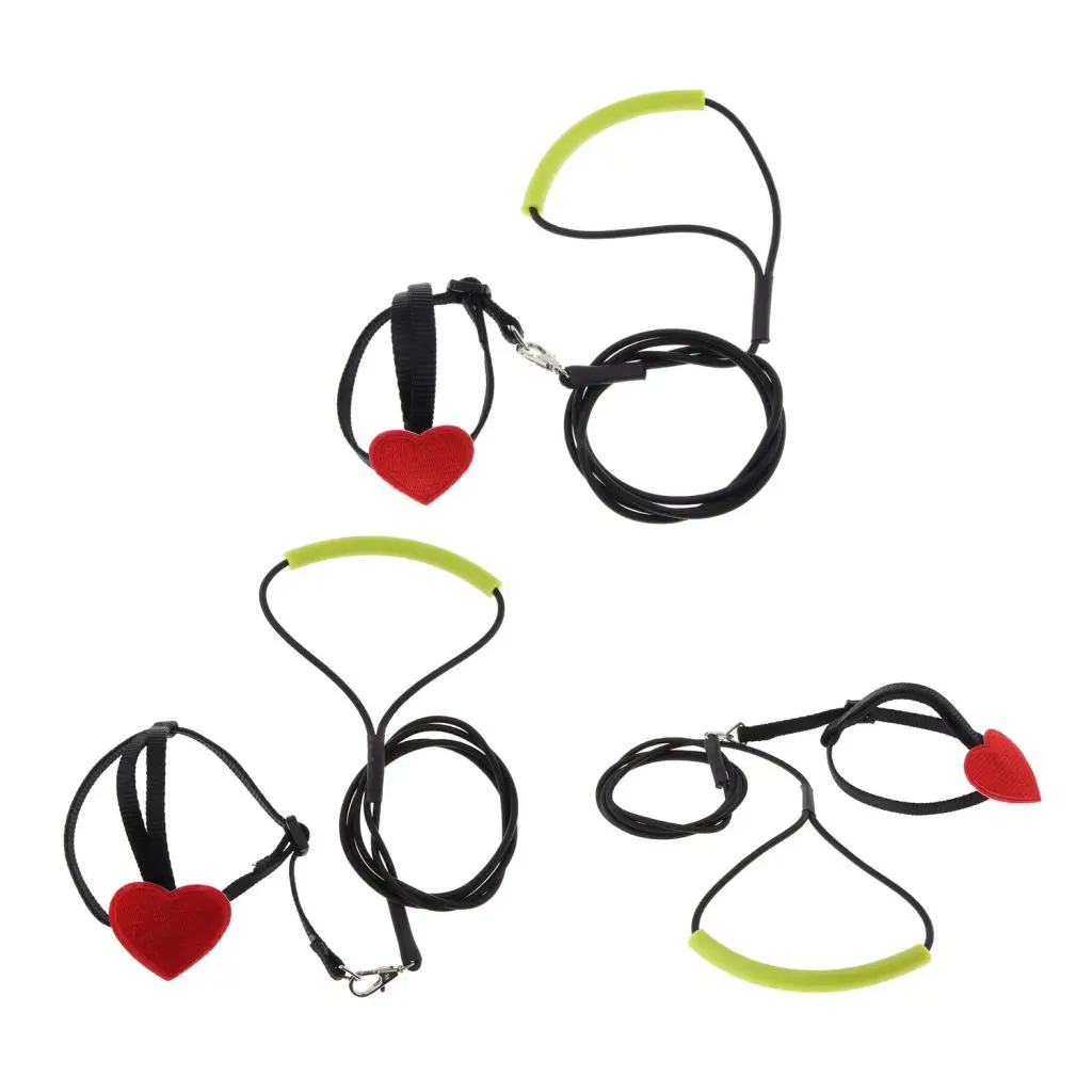 Bird Parrot Harness Leash Pet Rope For Birds Outdoor Training Leash Parrot Bird Leash Bird Harness Leash