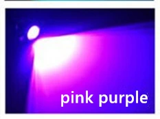 Pink purple