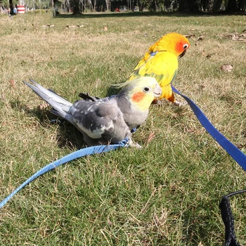 

1PC Parrot Bird Leash Training Lead Rope Adjustable Harness Pets Anti Flying Outdoor Cat Turtles Rabbits Leash Pet Products