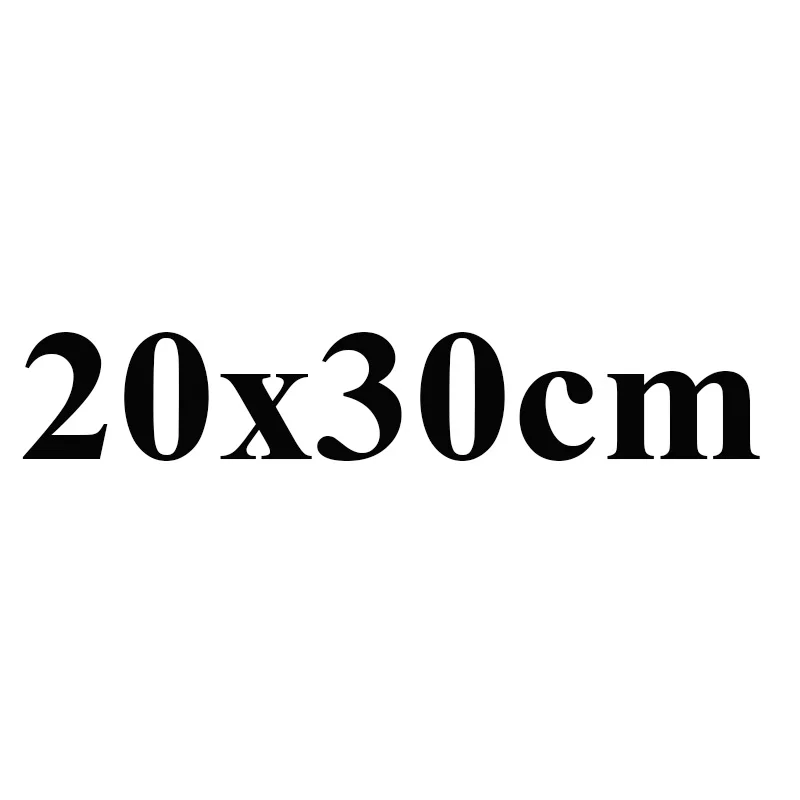White 20x30cm Белая высококачественная сумка-мешок для путешествий домашняя сумка инструменты Нетканая обувь тканевая сумка - Цвет: White 20x30cm