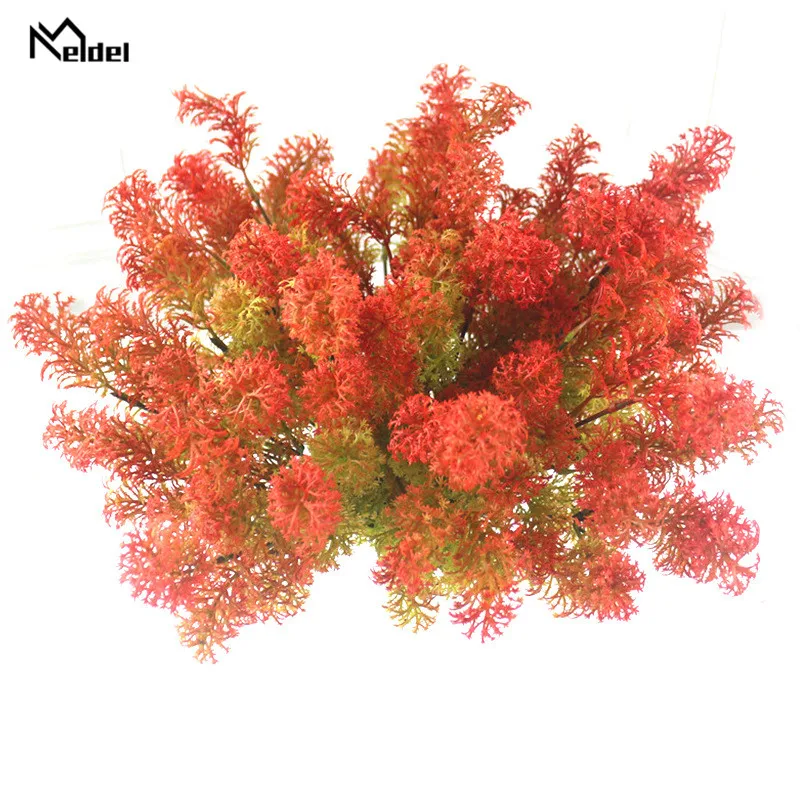 9267503226_2032011975