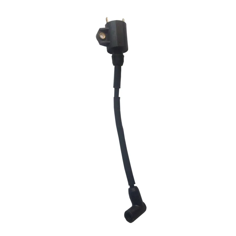 Лодочный двигатель для Hangkai 2 тактный 4 hp лодочные моторы внешние запасные части двигателя катушка зажигания