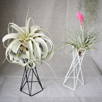 

Nordic Style Iron Tillandsia Holder Flower Pots Stand Geometric Air Plant Holder for Indoor Outdoor Table Home Garden Ornament H