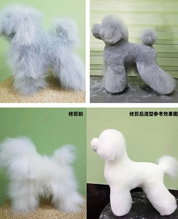 Pet Beauty Fake Dog Hair Model Model Teddy Dressed Vip Ram Dress Fake Dog Hair Pet Shop Practice Simulation Dog Dog Toys Aliexpress