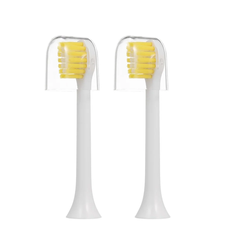 Electric Toothbrush USB Rechargeable Sonic Teeth Brushes with 2 Replacement Heads Waterproof