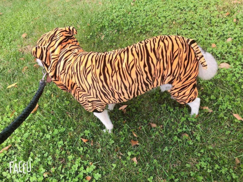 Big Dog Clothes Winter Large Dog Outfit Tiger Cosplay Funny Dog Costume Shiba Inu Samoyed Husky Golden Retriever Pet Apparel 9XL