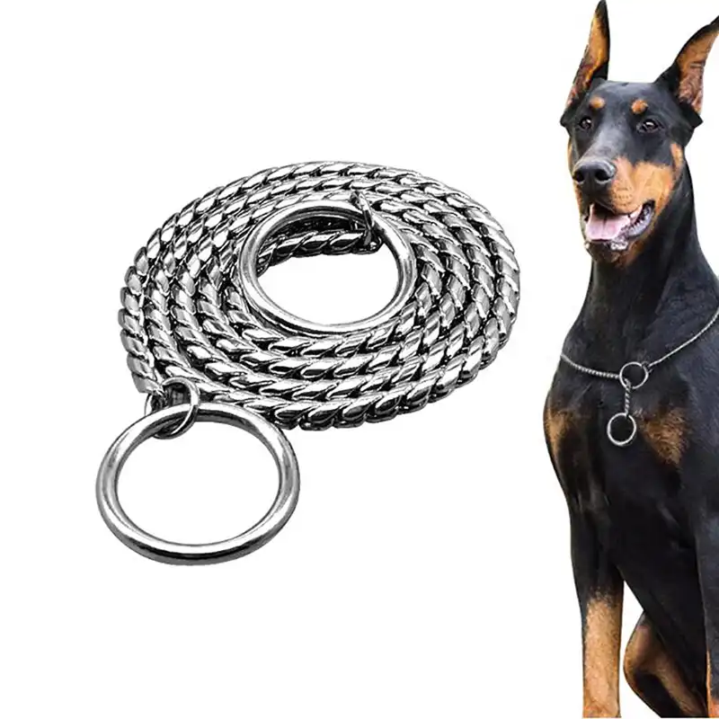 slip chain dog collar