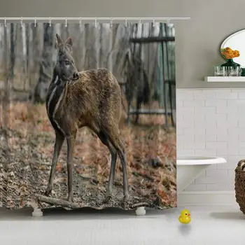 

Siberian Musk Deer Rare Pair Hoofed Photo Useful Shower Curtain for Hotel Bath,79''L x 72''W