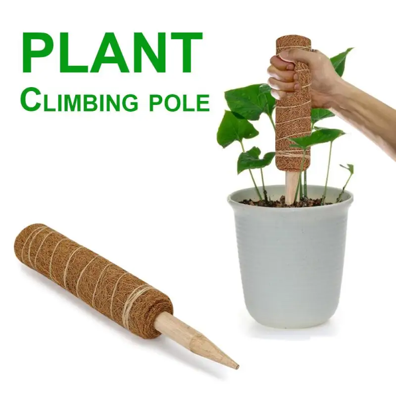 GKanMore 2Pcs Plant Climbing Pole 12 Inch Coir Moss Totem Pole Coir Moss Stick for Plant Support Extension 
