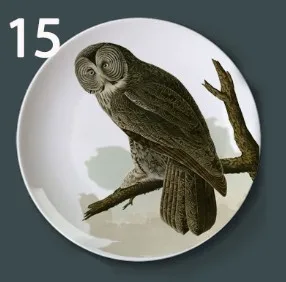 X John Audubon декоративная тарелка Америка птицы коллекция блюдо иллюстрация настенная подвесная декоративная тарелка фоновое украшение - Цвет: X