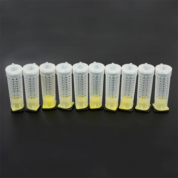 

10pcs Bees Tools King Platform Protective Cover Cages King Queen Rearing Cupkit System Bee Beekeeping Catcher Box Cups Kit