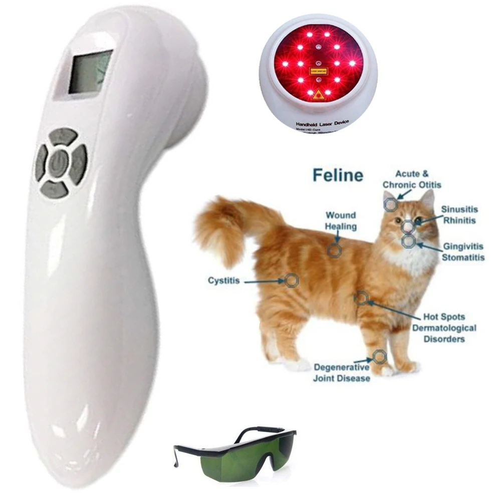 

New Veterinary Dog and Horse Cat Animals Pain Relief LLLT Therapy Device for 808nm Infrared Laser Safety Cold Laser
