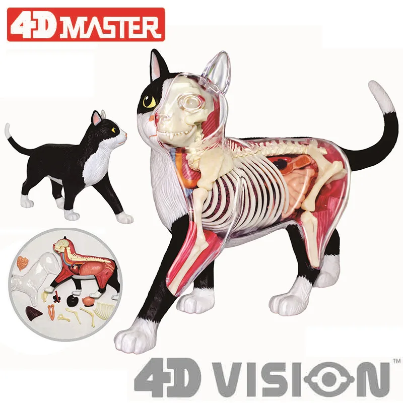 4D мастер Обучающие собранные игрушки имитация животного биологические куриные собаки и кошки лошадь свиная кожа Акула КИТ орган, анатомия