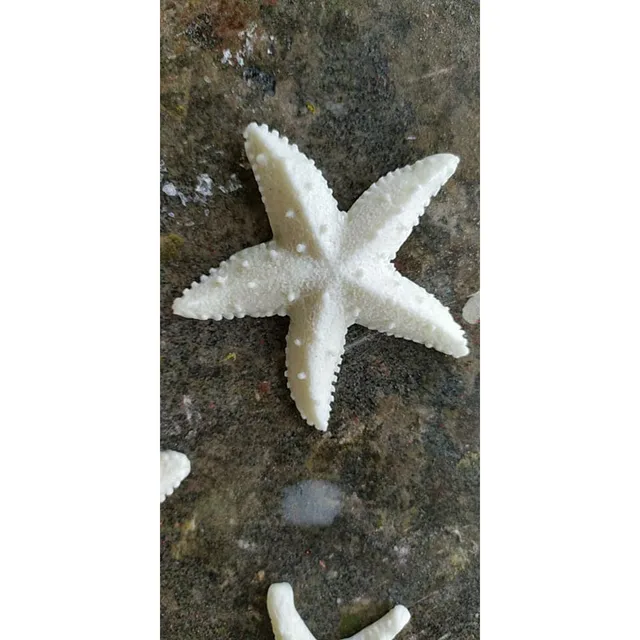 Cake -Dekorációs Szerszámok Diy Tengeri Kagylócsillagok Héja Fondant Sütemény Cukorkák Szilikon Formák Kreatív Csokoládé Penész - Image 2