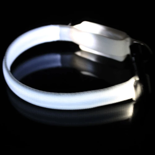 

LED Pet Cat Dog LED Leash Safety Glow Leash Flashing Lighting Up Good Quality Not the Cheaper One Dog Leash Z