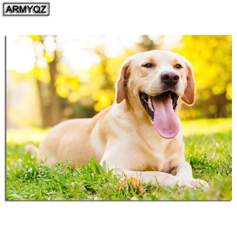 HTB1EFo2aEzrK1RjSspmq6AOdFXaE