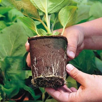 

50pcs Set 8cm Fibre Plant Pots Seed Pots Grow Pots Seed Trays + 50x Plant Labels Home Graden Supplies