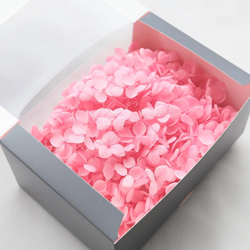 Sweet Pink 1 коробка, высокое качество, натуральные консервированные цветы, сушеные листочки Анны, Гортензия, Цветочная головка для DIY, настоящая вечная жизнь, цветы, материал - Цвет: Sweet Pink
