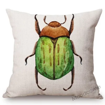 conew_n311 (5) 副本